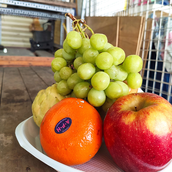 Mâm ngũ quả số 42